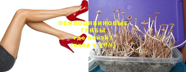 крисы Абаза