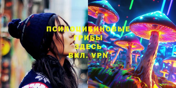 крисы Абаза