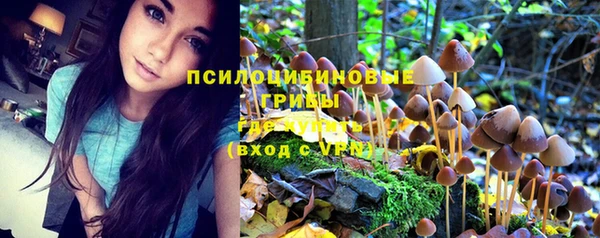амф Абинск