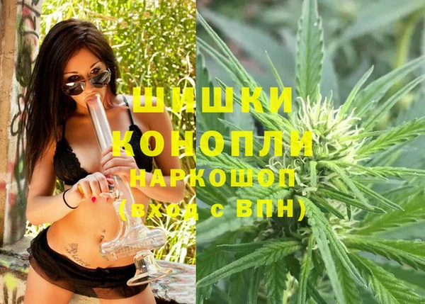 гидра Алексин