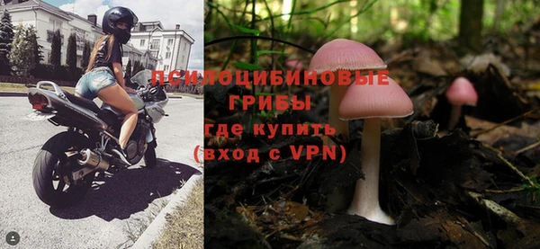 крисы Абаза