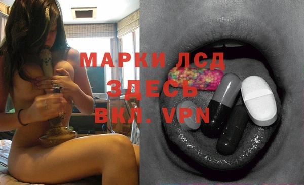 гидра Алексин