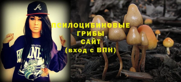 амф Абинск