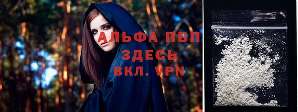 крисы Абаза