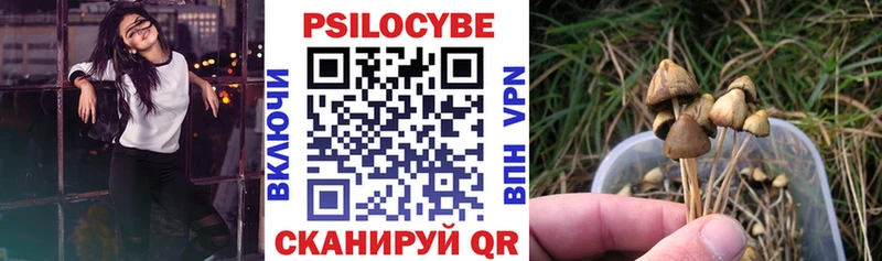 kraken сайт  Ростов-на-Дону  Галлюциногенные грибы мухоморы 