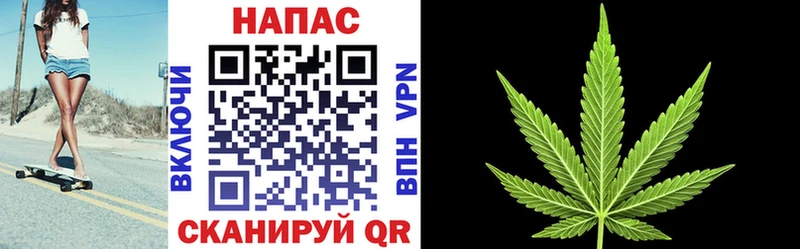 OMG маркетплейс Ростов-на-Дону МАРИХУАНА гибрид